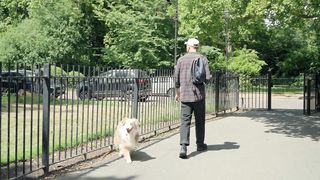 A Day in the Park: Embracing the Outdoor Lifestyle with Man's Best Friend