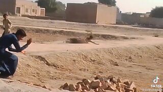 Funny video