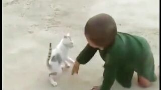 Funny fitting cat and bay