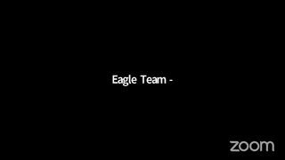 FORSAGE BUSD (Join complete plan ) EAGLE TEAM
