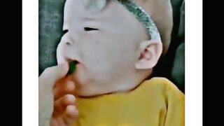 Very funny video ha ha full funny videos no copyright
