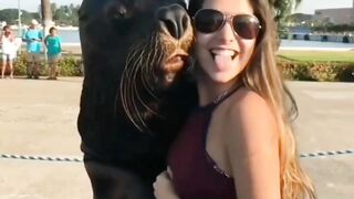 sea ​​lion Enjoing with girls||funny videos????????????