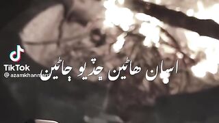 Status Song || Sindhi Song