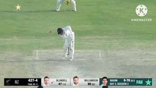 Reverse swing on display ????  Wasim Jnr breaks the Blundell-Williamson stand