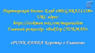 «PUNK PANDA Коротко о Главном»