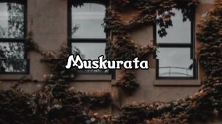 Songs videos