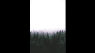 Vans Music, Relaxing Nature Music - Stress Relief Music, Calm Music, Sleep Music, Meditation Music