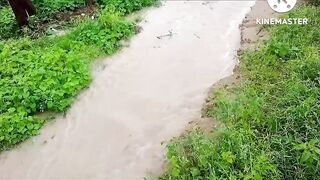 rain in tharparkar
