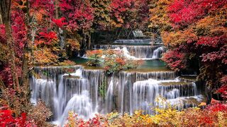Nature Forest Waterfall