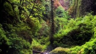 Nature Calming Sounds