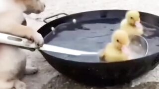 beutifull video