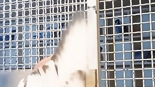 Beutiful Racer pigeons||funny videos