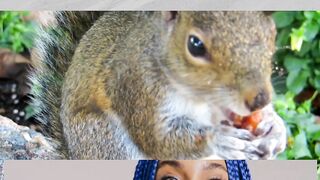 cute animals