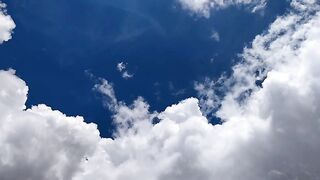 Beautiful day