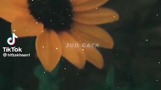 Best songs