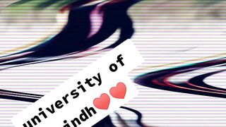 Sindh university