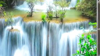 Naturel video