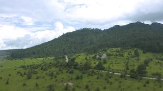 Aerial Symphony: Gliding Over the Enchanted Canopy of Tree-Covered Mountains