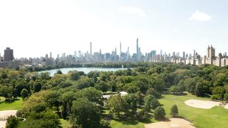 Central Park Serenity: A Stunning Skyline Vista of New York City