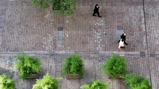 Strolling through Paris: A Tranquil Journey along a Pedestrian Path