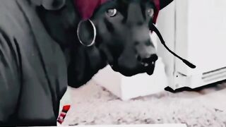 Capcut new trending music video watching now and subscribe my channel