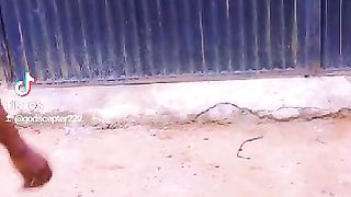 The drunken dance