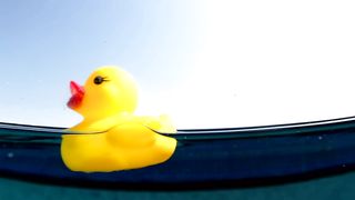 Yellow rubber duck in water