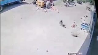 ‼️ ????أقوى وأفخم تدخل وإنقاذ في عالم الحيوان