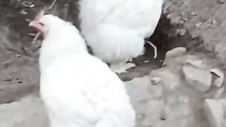 White is not golden