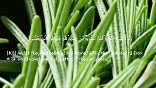 القرٱن الكريم.