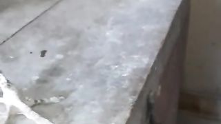 Not white peacock