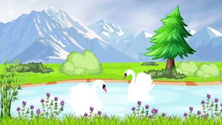 white swans are swimming in the lake