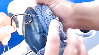 fishing hard 1