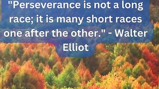 Immortal Words