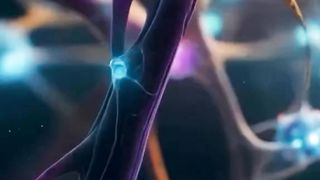 parallel universe theory : multiverse theory : virtual facts : space and universe facts