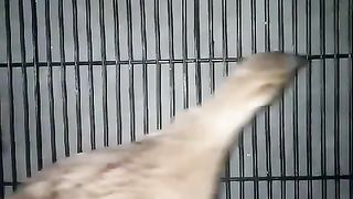 What are you looking for