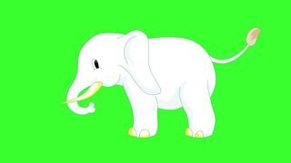 Green Secreen Elephant animation