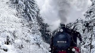 Winter Adventure
