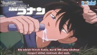 Detective Conan Episode 29