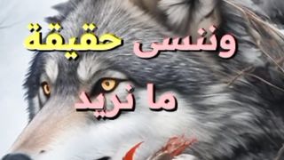 خواطر صامته