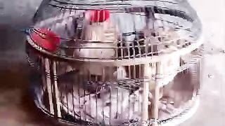Bring me out of
