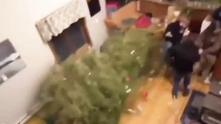 The craziest and funniest thing you'll see today