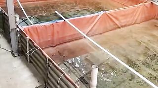 Pemijahan induk lele itu tidak semudah membalikkan telapak tangan, perlu ketelitian