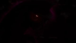 Pokémon: The Rise of Darkrai