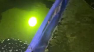 Beginilah jika MAKSA MIJAHKAN induk lele dengan 3 kolam ukuran kecil❗Sayang kan, jadi sia-sia