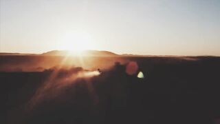 Martin Garrix & Third Party - Lions In The Wild