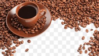 Fun Facts About Coffee You Probably Didn't Know!
