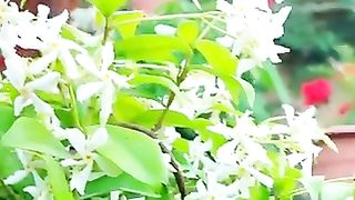 منظر طبيعي