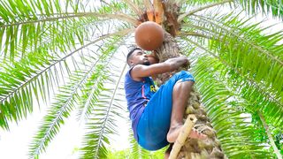 Must Watch New Funniest Comedy video 2021 amazing comedy video 2021 Episode 127 By Busy Fun Ltd