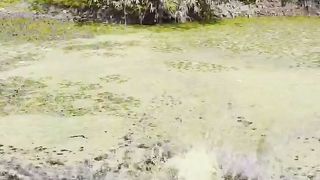 Fatal Nosy Consequences